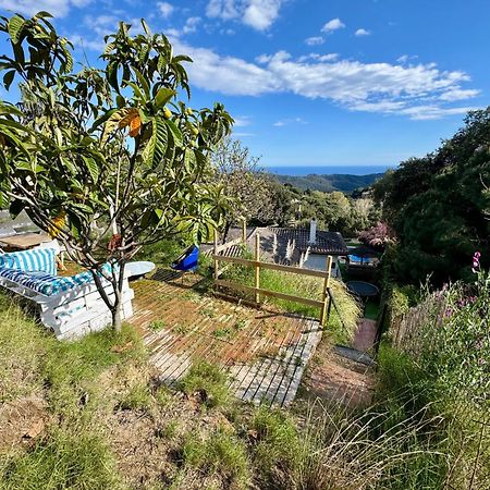 Casa Paraiso Piscina Tranquilidad Sant Cebrià de Vallalta Dış mekan fotoğraf